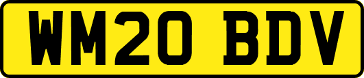 WM20BDV