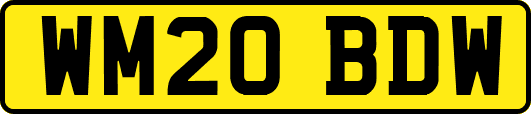 WM20BDW