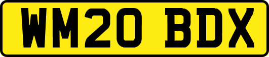 WM20BDX