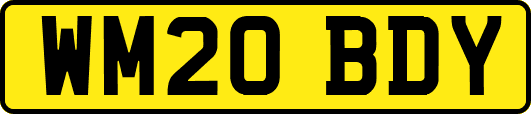 WM20BDY