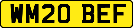 WM20BEF