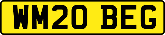 WM20BEG