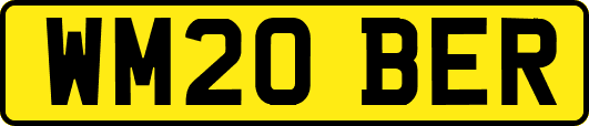 WM20BER