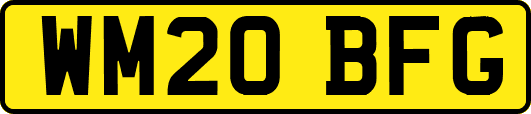 WM20BFG