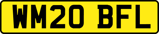 WM20BFL