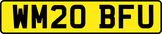 WM20BFU