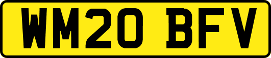 WM20BFV