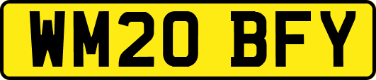 WM20BFY