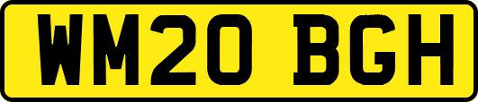 WM20BGH