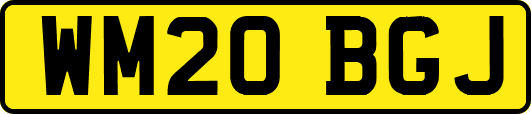 WM20BGJ