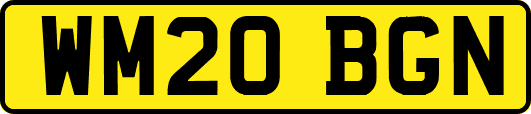 WM20BGN