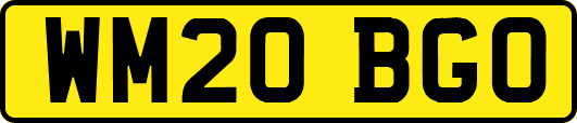 WM20BGO