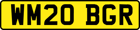 WM20BGR