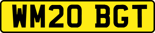 WM20BGT