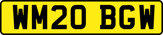 WM20BGW