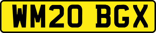 WM20BGX