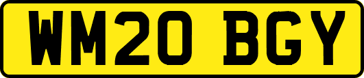 WM20BGY