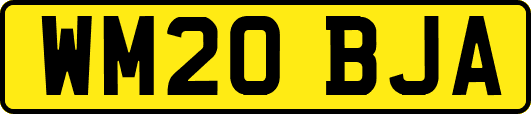 WM20BJA