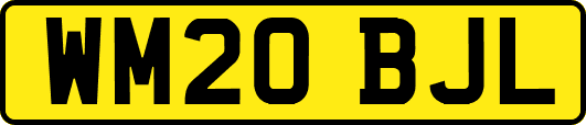 WM20BJL