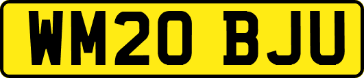 WM20BJU