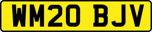 WM20BJV