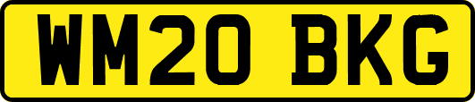 WM20BKG