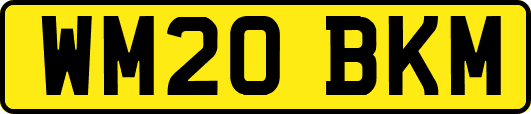 WM20BKM