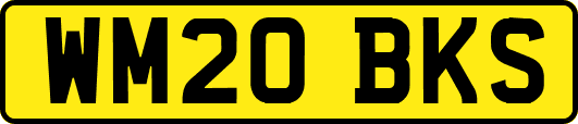 WM20BKS