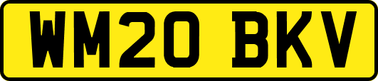 WM20BKV