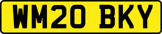 WM20BKY