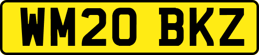 WM20BKZ