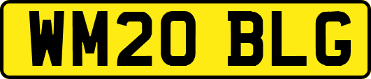 WM20BLG