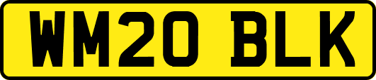 WM20BLK