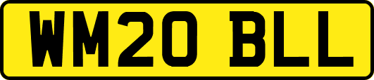 WM20BLL