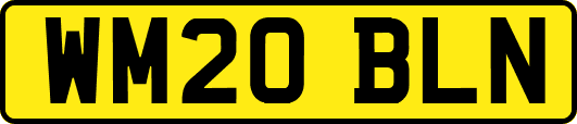 WM20BLN