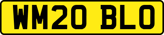 WM20BLO