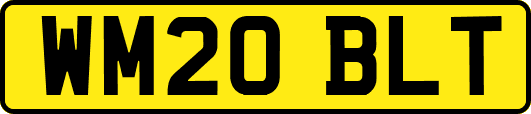 WM20BLT