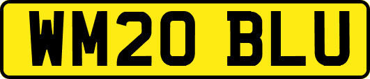 WM20BLU