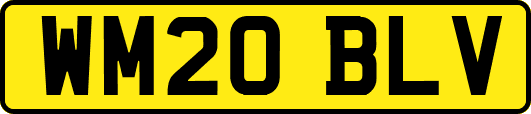 WM20BLV