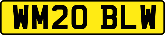 WM20BLW