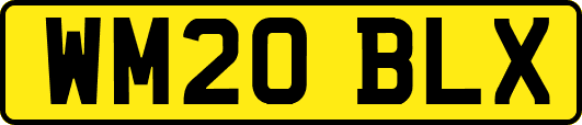 WM20BLX