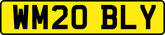 WM20BLY