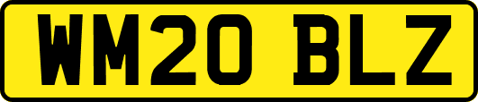 WM20BLZ