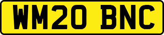 WM20BNC