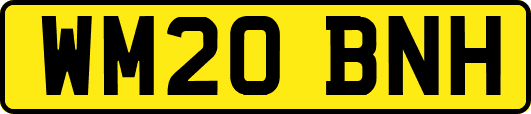 WM20BNH