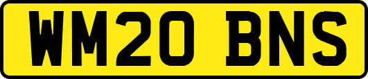 WM20BNS