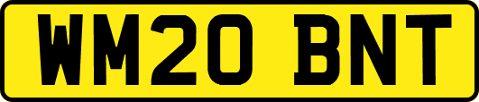 WM20BNT