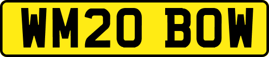 WM20BOW