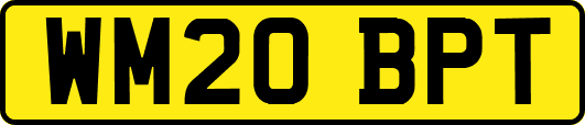 WM20BPT