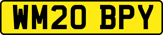 WM20BPY